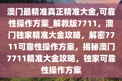 澳门最精准真正精准大金,可靠性操作方案_解救版7711，澳门独家精准大金攻略，解密7711可靠性操作方案，揭秘澳门7711精准大金攻略，独家可靠性操作方案