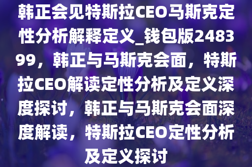 韩正会见特斯拉CEO马斯克定性分析解释定义_钱包版248399，韩正与马斯克会面，特斯拉CEO解读定性分析及定义深度探讨，韩正与马斯克会面深度解读，特斯拉CEO定性分析及定义探讨