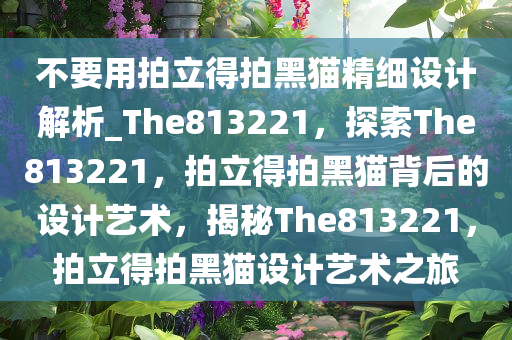 不要用拍立得拍黑猫精细设计解析_The813221，探索The813221，拍立得拍黑猫背后的设计艺术，揭秘The813221，拍立得拍黑猫设计艺术之旅