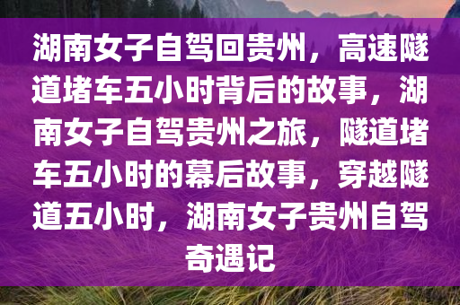 湖南女子自驾回贵州，高速隧道堵车五小时背后的故事，湖南女子自驾贵州之旅，隧道堵车五小时的幕后故事，穿越隧道五小时，湖南女子贵州自驾奇遇记