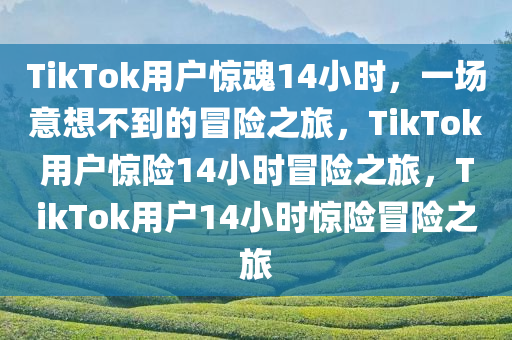 TikTok用户惊魂14小时，一场意想不到的冒险之旅，TikTok用户惊险14小时冒险之旅，TikTok用户14小时惊险冒险之旅