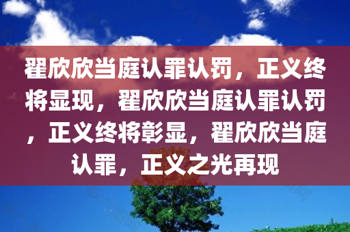 翟欣欣当庭认罪认罚，正义终将显现，翟欣欣当庭认罪认罚，正义终将彰显，翟欣欣当庭认罪，正义之光再现