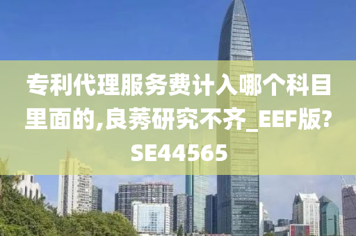 专利代理服务费计入哪个科目里面的,良莠研究不齐_EEF版?SE44565