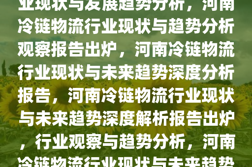 河南冷链物流观察报告出炉，行业现状与发展趋势分析，河南冷链物流行业现状与趋势分析观察报告出炉，河南冷链物流行业现状与未来趋势深度分析报告，河南冷链物流行业现状与未来趋势深度解析报告出炉，行业观察与趋势分析，河南冷链物流行业现状与未来趋势深度解析报告发布