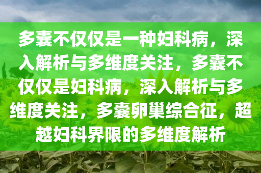 多囊不仅仅是一种妇科病，深入解析与多维度关注，多囊不仅仅是妇科病，深入解析与多维度关注，多囊卵巢综合征，超越妇科界限的多维度解析