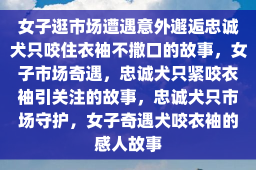 女子逛市场遭遇意外邂逅忠诚犬只咬住衣袖不撒口的故事，女子市场奇遇，忠诚犬只紧咬衣袖引关注的故事，忠诚犬只市场守护，女子奇遇犬咬衣袖的感人故事