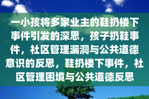 一小孩将多家业主的鞋扔楼下事件引发的深思，孩子扔鞋事件，社区管理漏洞与公共道德意识的反思，鞋扔楼下事件，社区管理困境与公共道德反思