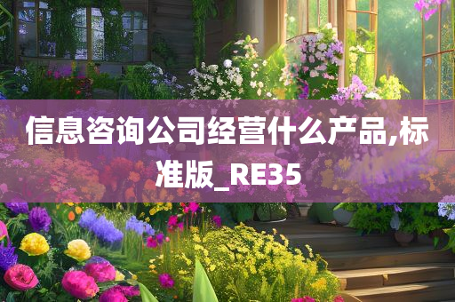 信息咨询公司经营什么产品,标准版_RE35