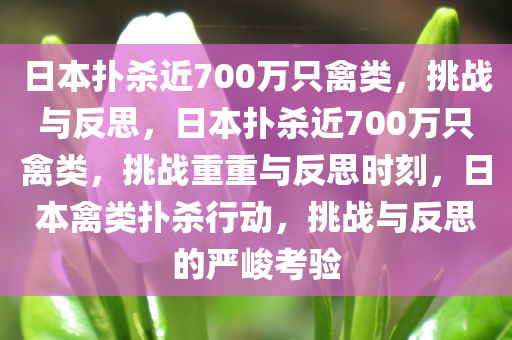 日本扑杀近700万只禽类，挑战与反思，日本扑杀近700万只禽类，挑战重重与反思时刻，日本禽类扑杀行动，挑战与反思的严峻考验