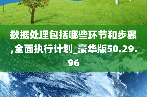 数据处理包括哪些环节和步骤,全面执行计划_豪华版50.29.96