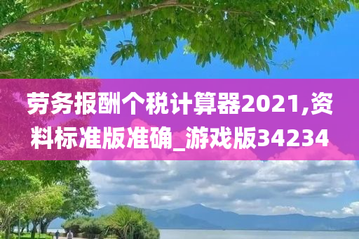 劳务报酬个税计算器2021,资料标准版准确_游戏版34234