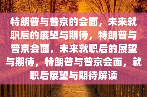 特朗普与普京的会面，未来就职后的展望与期待，特朗普与普京会面，未来就职后的展望与期待，特朗普与普京会面，就职后展望与期待解读