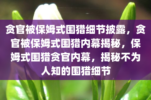 贪官被保姆式围猎细节披露，贪官被保姆式围猎内幕揭秘，保姆式围猎贪官内幕，揭秘不为人知的围猎细节