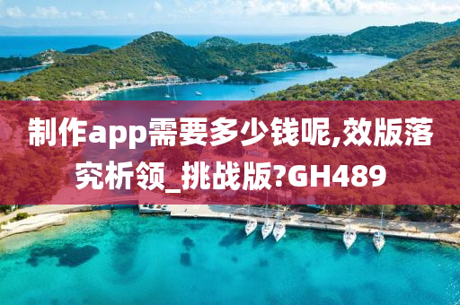 制作app需要多少钱呢,效版落究析领_挑战版?GH489