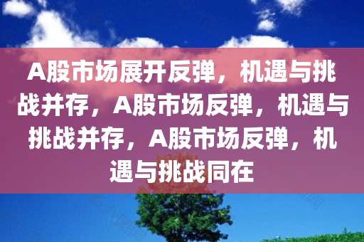 A股市场展开反弹，机遇与挑战并存，A股市场反弹，机遇与挑战并存，A股市场反弹，机遇与挑战同在