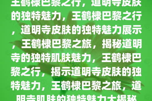 王鹤棣巴黎之行，道明寺皮肤的独特魅力，王鹤棣巴黎之行，道明寺皮肤的独特魅力展示，王鹤棣巴黎之旅，揭秘道明寺的独特肌肤魅力，王鹤棣巴黎之行，揭示道明寺皮肤的独特魅力，王鹤棣巴黎之旅，道明寺肌肤的独特魅力大揭秘