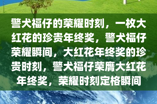 警犬福仔的荣耀时刻，一枚大红花的珍贵年终奖，警犬福仔荣耀瞬间，大红花年终奖的珍贵时刻，警犬福仔荣膺大红花年终奖，荣耀时刻定格瞬间