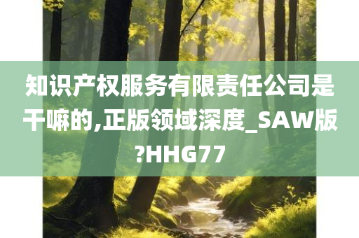 知识产权服务有限责任公司是干嘛的,正版领域深度_SAW版?HHG77