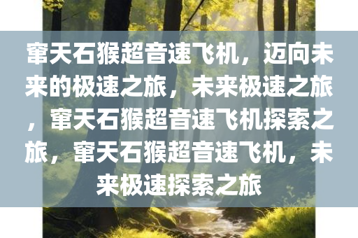 窜天石猴超音速飞机，迈向未来的极速之旅，未来极速之旅，窜天石猴超音速飞机探索之旅，窜天石猴超音速飞机，未来极速探索之旅