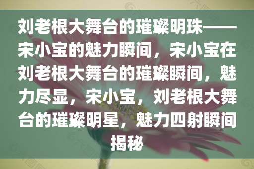 刘老根大舞台的璀璨明珠——宋小宝的魅力瞬间，宋小宝在刘老根大舞台的璀璨瞬间，魅力尽显，宋小宝，刘老根大舞台的璀璨明星，魅力四射瞬间揭秘