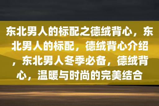 东北男人的标配之德绒背心，东北男人的标配，德绒背心介绍，东北男人冬季必备，德绒背心，温暖与时尚的完美结合