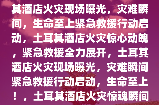 土耳其酒店火灾现场视频曝光，灾难瞬间，生命至上，土耳其酒店火灾现场曝光，灾难瞬间，生命至上紧急救援行动启动，土耳其酒店火灾惊心动魄，紧急救援全力展开，土耳其酒店火灾现场曝光，灾难瞬间紧急救援行动启动，生命至上！，土耳其酒店火灾惊魂瞬间，紧急救援全力展开，生命至上！