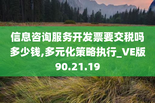 信息咨询服务开发票要交税吗多少钱,多元化策略执行_VE版90.21.19