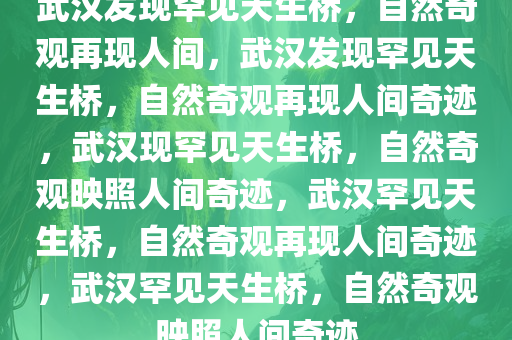 武汉发现罕见天生桥，自然奇观再现人间，武汉发现罕见天生桥，自然奇观再现人间奇迹，武汉现罕见天生桥，自然奇观映照人间奇迹，武汉罕见天生桥，自然奇观再现人间奇迹，武汉罕见天生桥，自然奇观映照人间奇迹