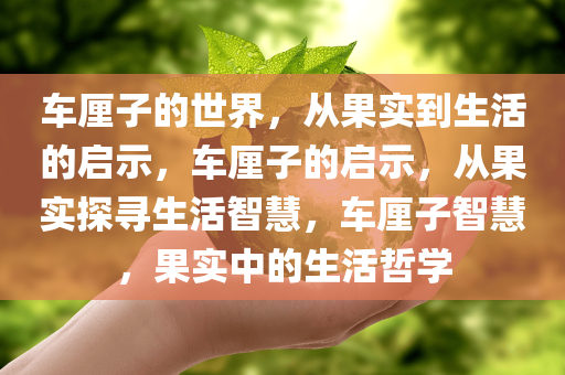 车厘子的世界，从果实到生活的启示，车厘子的启示，从果实探寻生活智慧，车厘子智慧，果实中的生活哲学