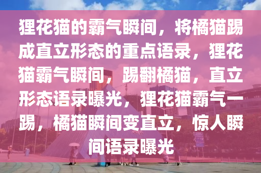 狸花猫的霸气瞬间，将橘猫踢成直立形态的重点语录，狸花猫霸气瞬间，踢翻橘猫，直立形态语录曝光，狸花猫霸气一踢，橘猫瞬间变直立，惊人瞬间语录曝光