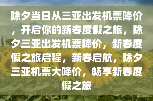 除夕当日从三亚出发机票降价，开启你的新春度假之旅，除夕三亚出发机票降价，新春度假之旅启程，新春启航，除夕三亚机票大降价，畅享新春度假之旅