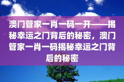 澳门管家一肖一码一开——揭秘幸运之门背后的秘密，澳门管家一肖一码揭秘幸运之门背后的秘密