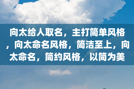 向太给人取名，主打简单风格，向太命名风格，简洁至上，向太命名，简约风格，以简为美