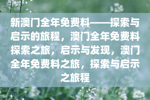 新澳门全年免费料——探索与启示的旅程，澳门全年免费料探索之旅，启示与发现，澳门全年免费料之旅，探索与启示之旅程