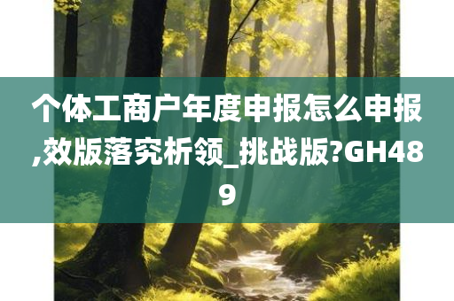 个体工商户年度申报怎么申报,效版落究析领_挑战版?GH489