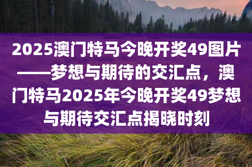 2025澳门特马今晚开奖49图片——梦想与期待的交汇点，澳门特马2025年今晚开奖49梦想与期待交汇点揭晓时刻