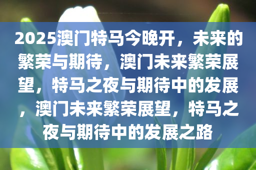 2025澳门特马今晚开，未来的繁荣与期待，澳门未来繁荣展望，特马之夜与期待中的发展，澳门未来繁荣展望，特马之夜与期待中的发展之路