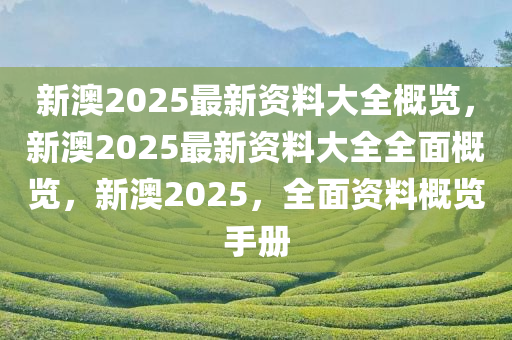 新澳2025最新资料大全概览，新澳2025最新资料大全全面概览，新澳2025，全面资料概览手册