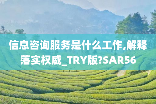 信息咨询服务是什么工作,解释落实权威_TRY版?SAR56