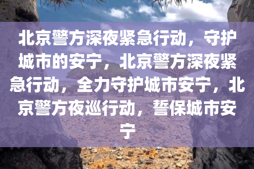 北京警方深夜紧急行动，守护城市的安宁，北京警方深夜紧急行动，全力守护城市安宁，北京警方夜巡行动，誓保城市安宁