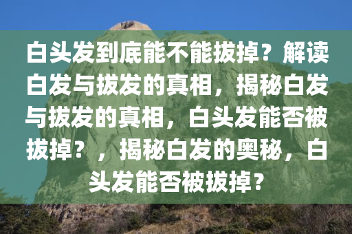 白头发到底能不能拔掉？解读白发与拔发的真相，揭秘白发与拔发的真相，白头发能否被拔掉？，揭秘白发的奥秘，白头发能否被拔掉？