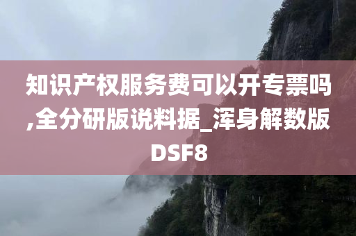 知识产权服务费可以开专票吗,全分研版说料据_浑身解数版DSF8