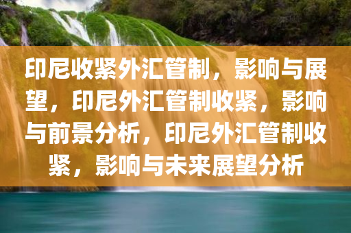 印尼收紧外汇管制，影响与展望，印尼外汇管制收紧，影响与前景分析，印尼外汇管制收紧，影响与未来展望分析