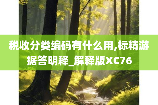 税收分类编码有什么用,标精游据答明释_解释版XC76