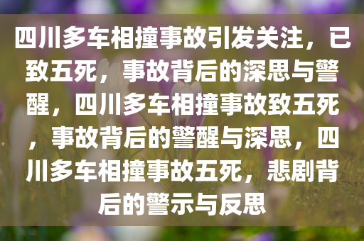 四川多车相撞事故引发关注，已致五死，事故背后的深思与警醒，四川多车相撞事故致五死，事故背后的警醒与深思，四川多车相撞事故五死，悲剧背后的警示与反思