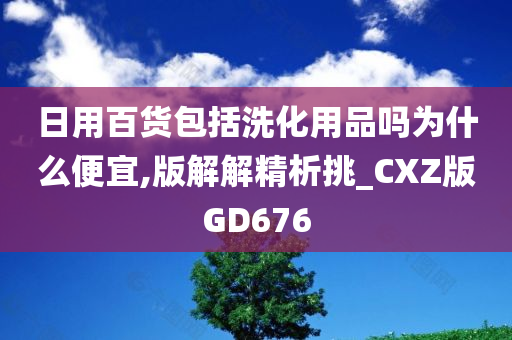 日用百货包括洗化用品吗为什么便宜,版解解精析挑_CXZ版GD676