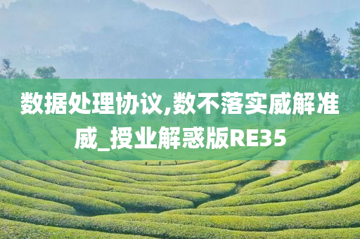 数据处理协议,数不落实威解准威_授业解惑版RE35