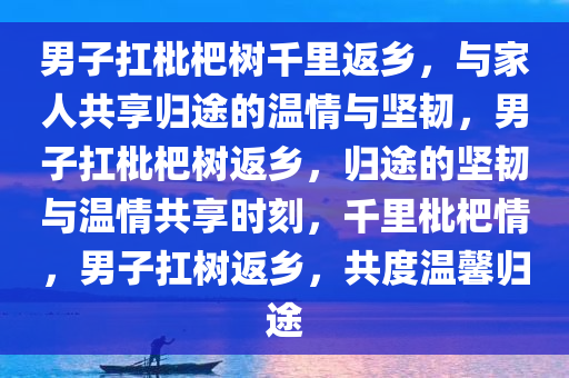 男子扛枇杷树千里返乡，与家人共享归途的温情与坚韧，男子扛枇杷树返乡，归途的坚韧与温情共享时刻，千里枇杷情，男子扛树返乡，共度温馨归途