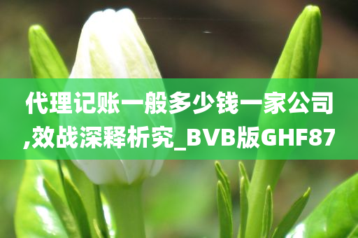 代理记账一般多少钱一家公司,效战深释析究_BVB版GHF87