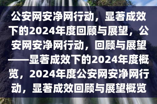 公安网安净网行动，显著成效下的2024年度回顾与展望，公安网安净网行动，回顾与展望——显著成效下的2024年度概览，2024年度公安网安净网行动，显著成效回顾与展望概览